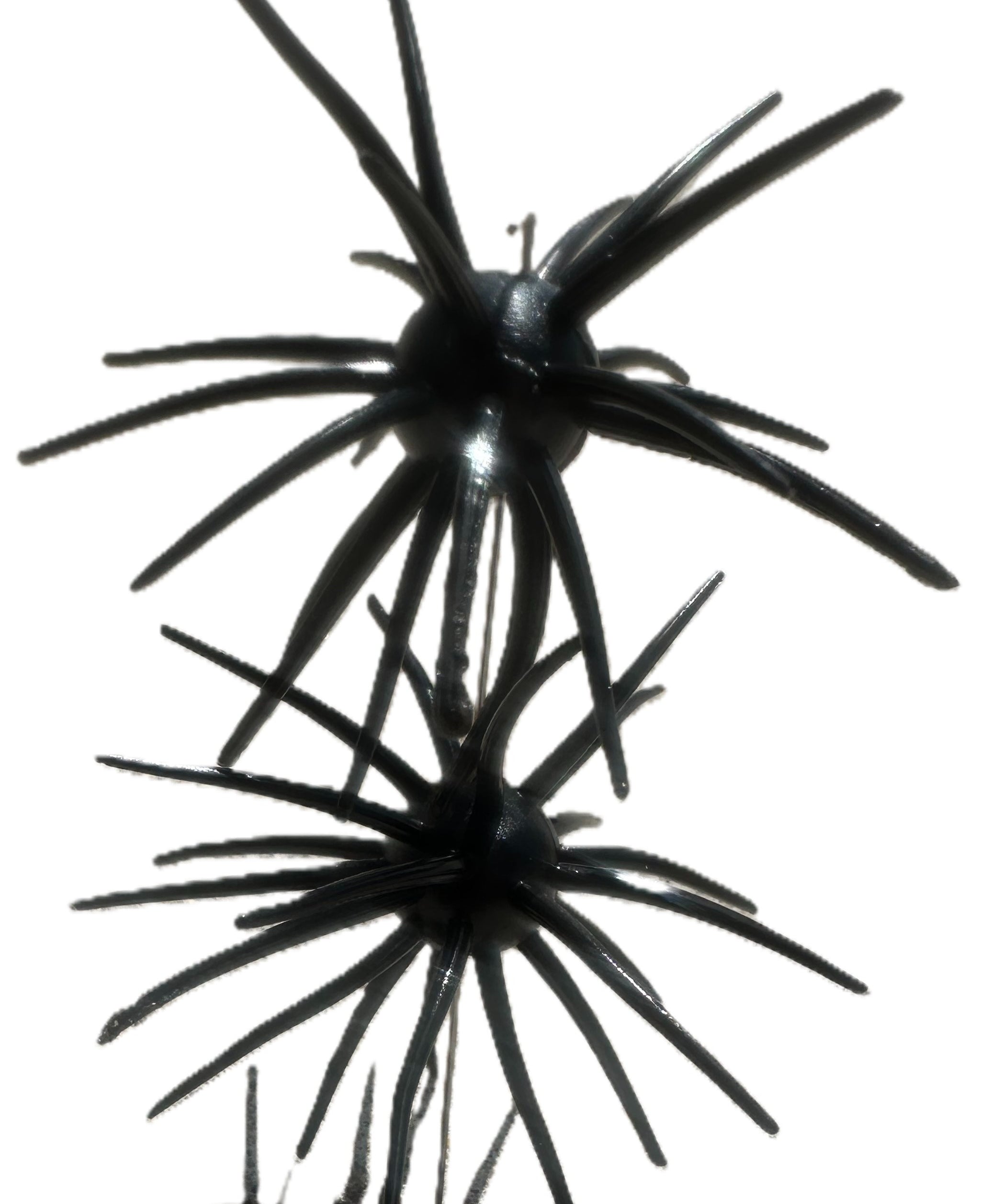 Spikey Ball Urchins