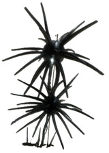 Spikey Ball Urchins