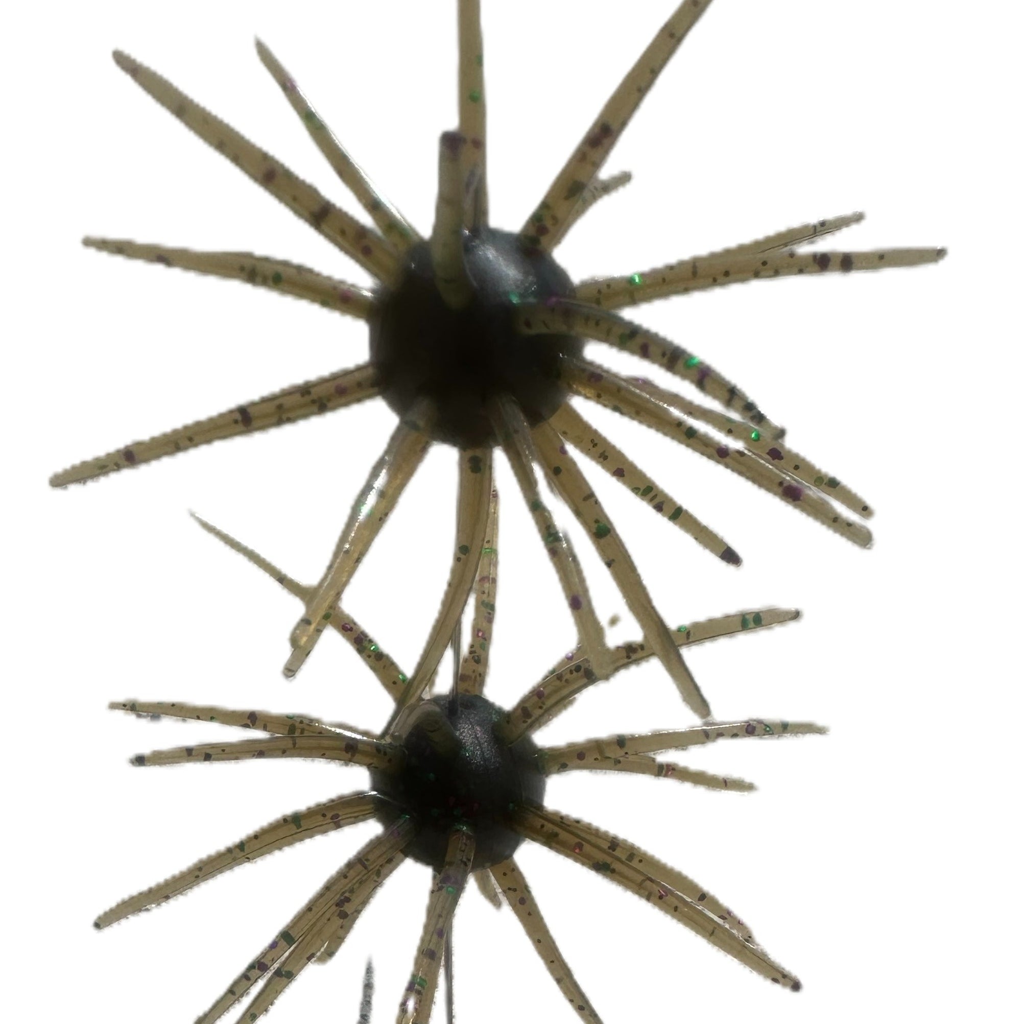 Spikey Ball Urchins