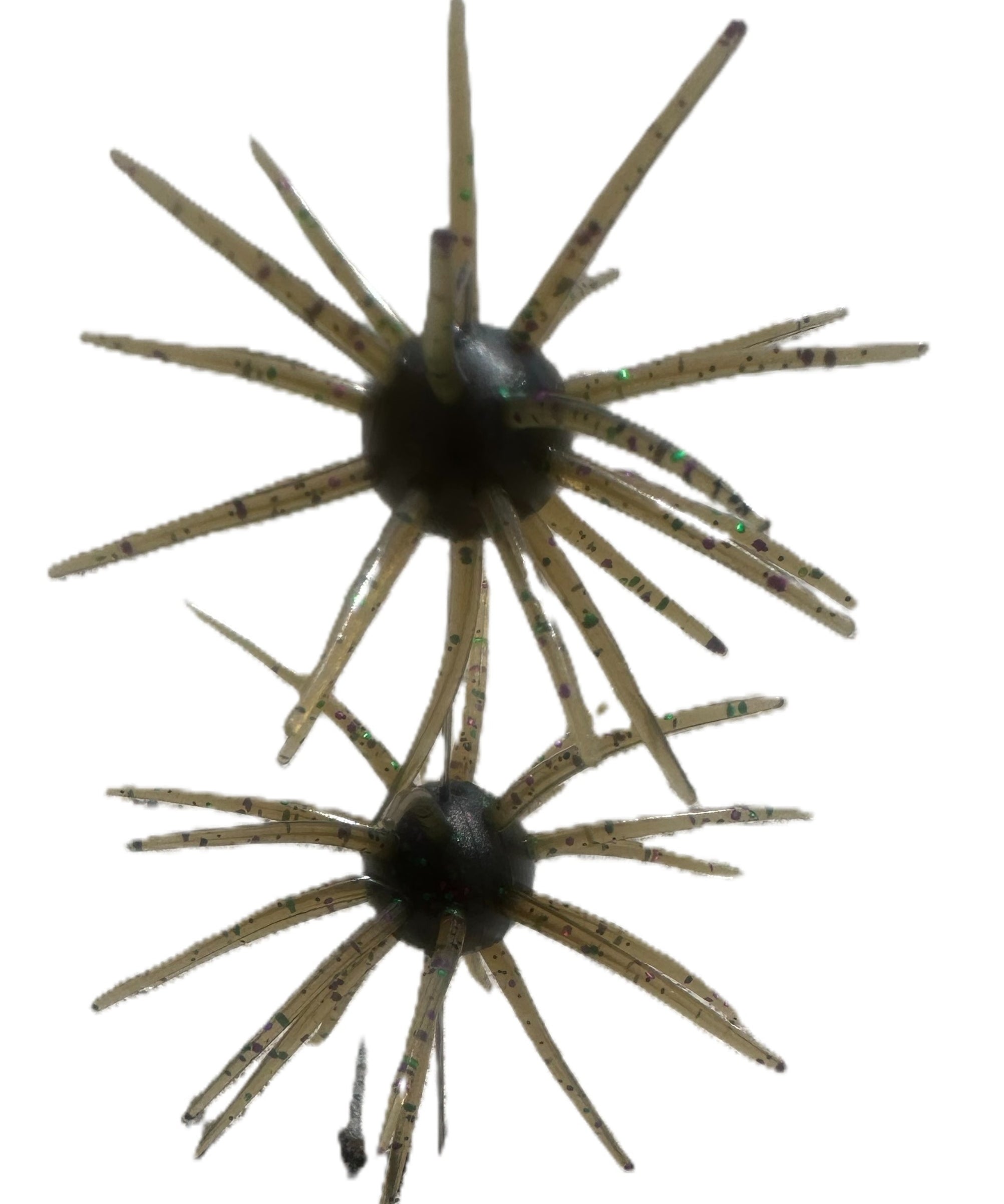 Spikey Ball Urchins