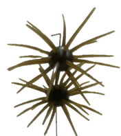Spikey Ball Urchins