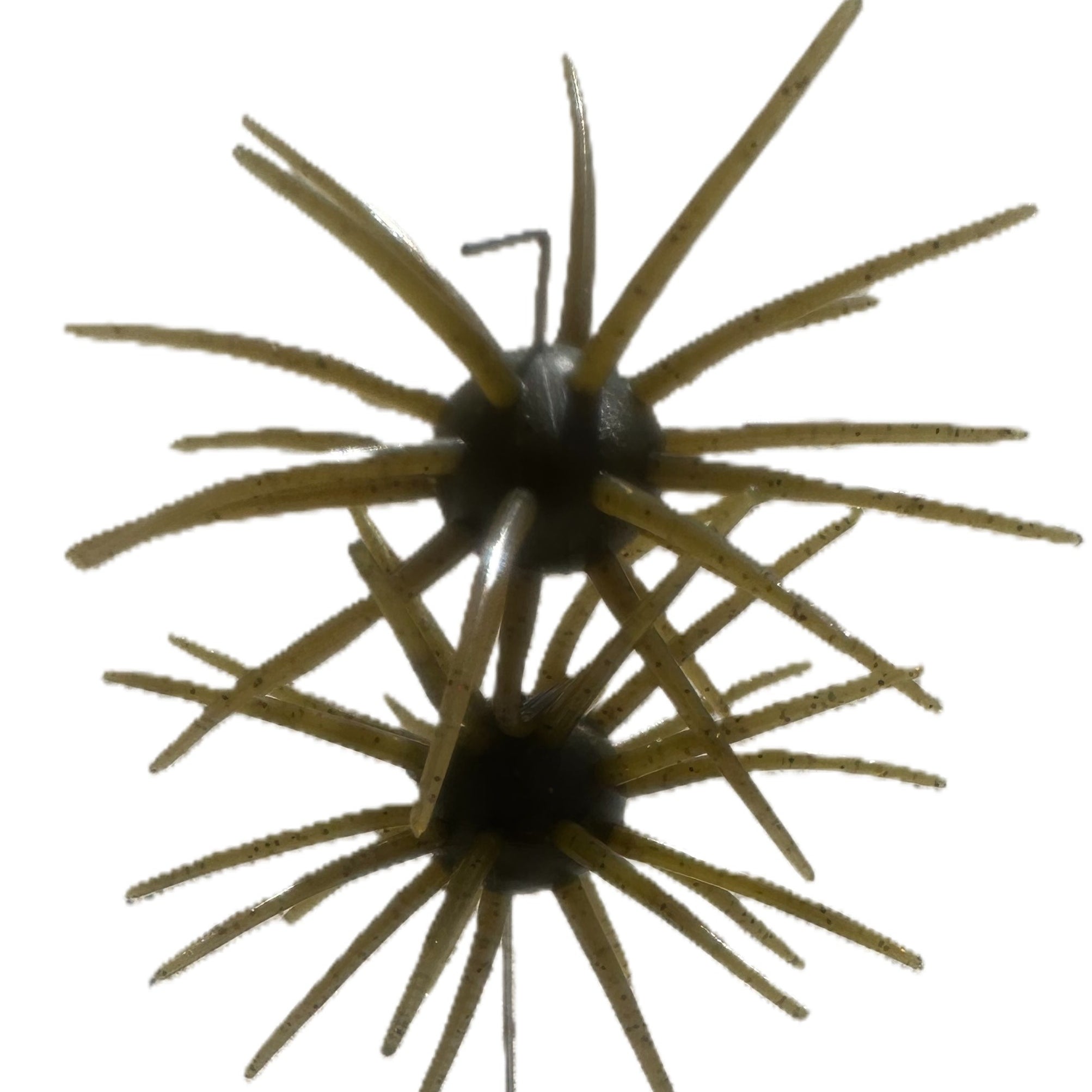 Spikey Ball Urchins