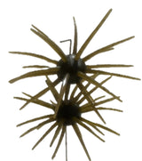 Spikey Ball Urchins