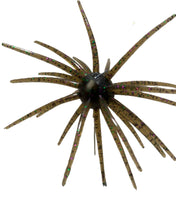 Spikey Ball Urchins