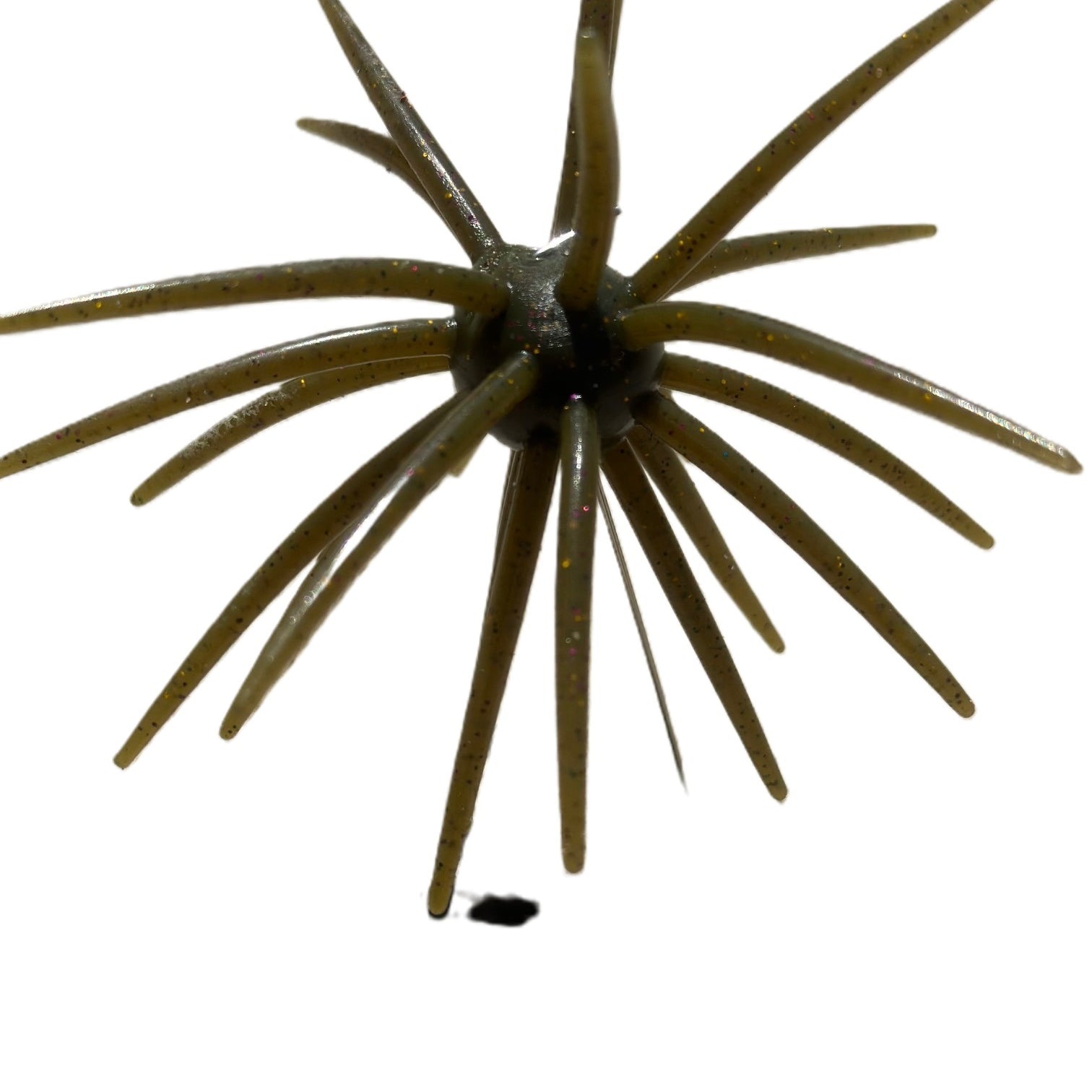 Spikey Ball Urchins