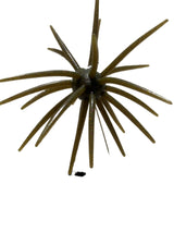 Spikey Ball Urchins