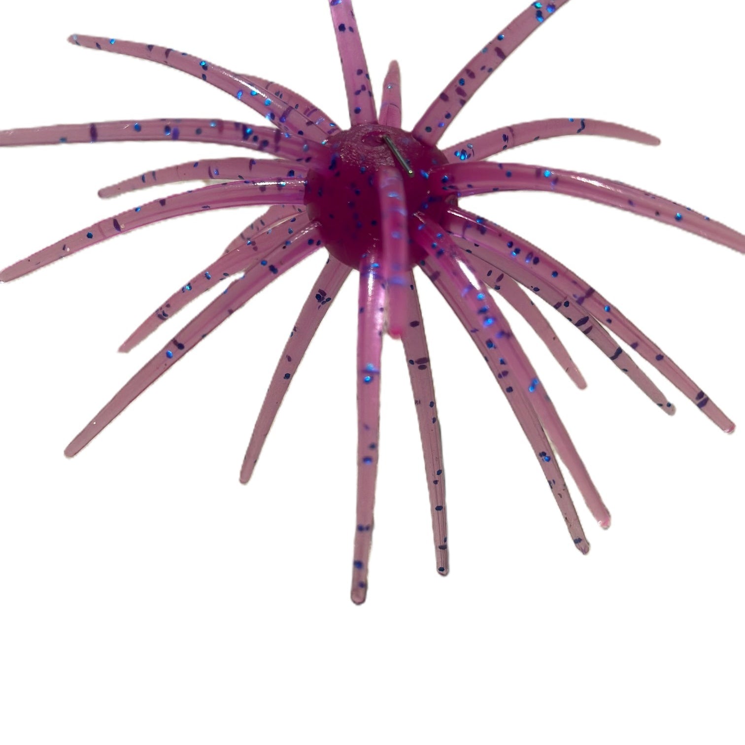 Spikey Ball Urchins