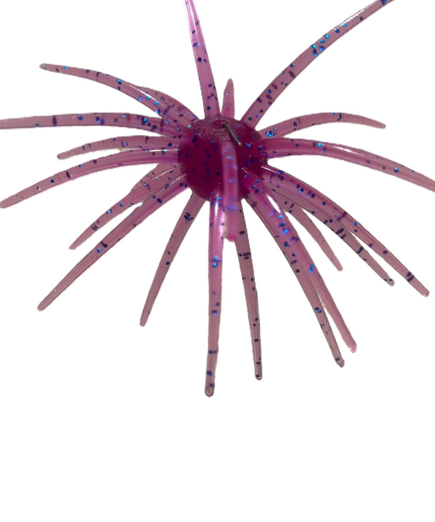Spikey Ball Urchins