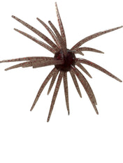 Spikey Ball Urchins