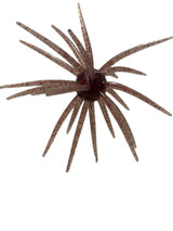 Spikey Ball Urchins
