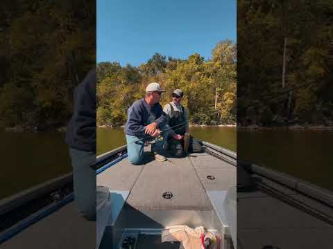Guide Series Spinning Rod
